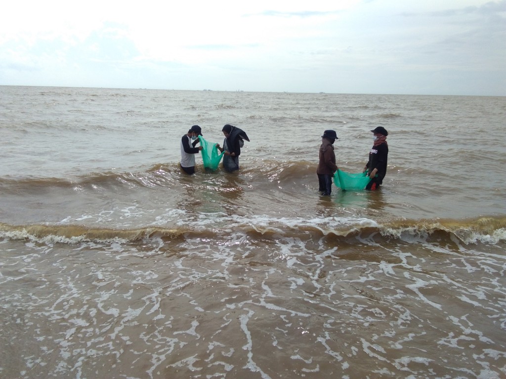 Pengamatan Hewan Pantai